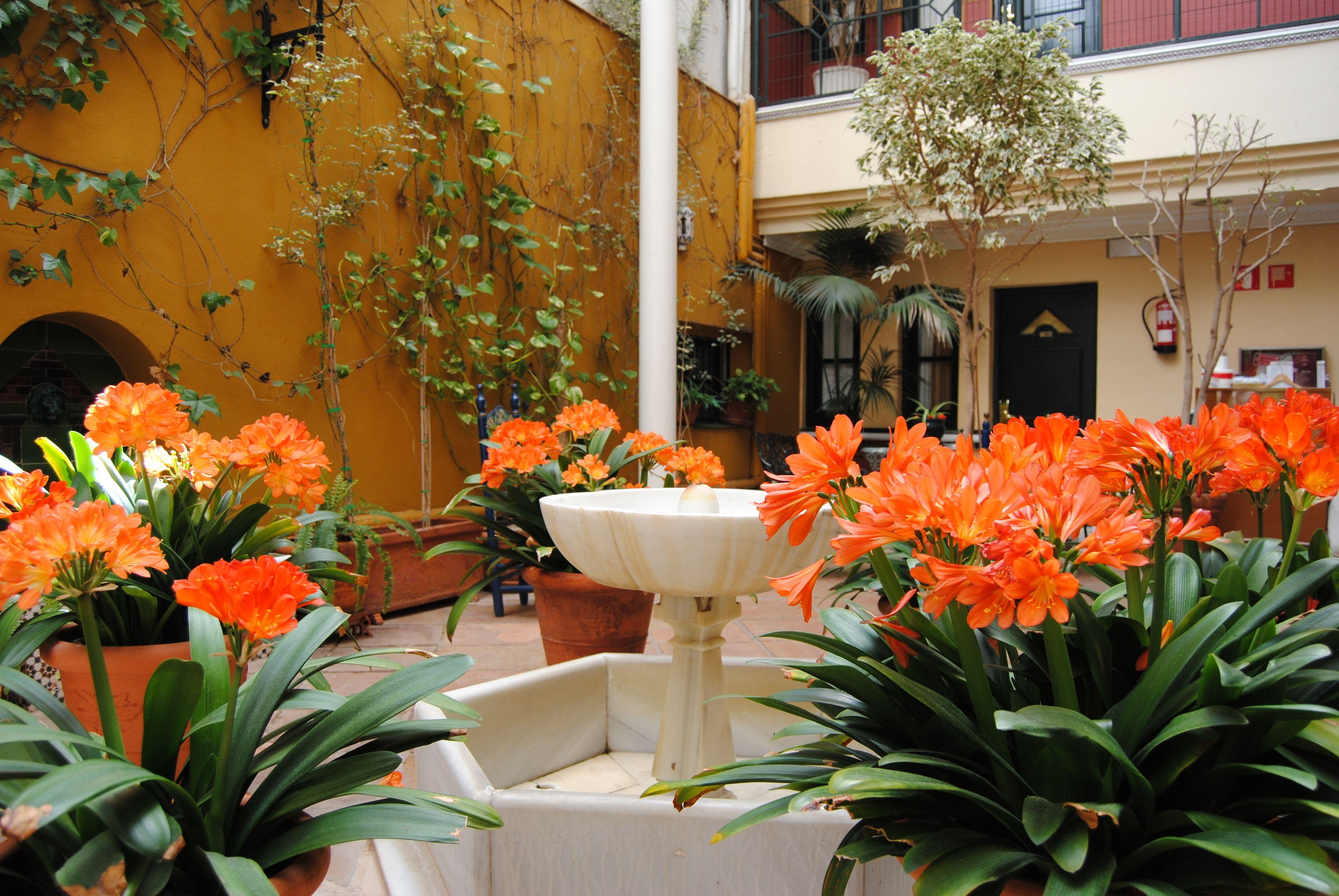 Hotel Cervantes — Photos 2
